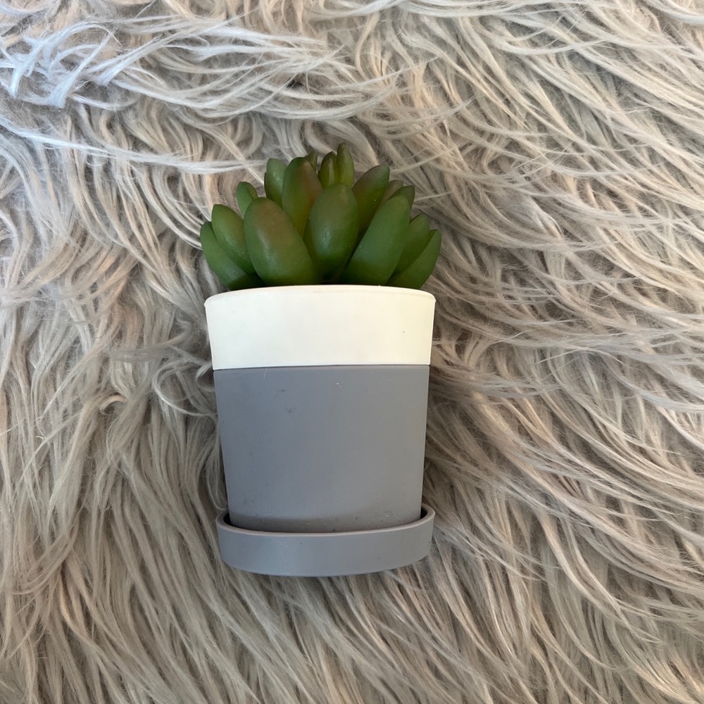 Bath & Body Works Desk Succulent Cactus Plant Pocket Hand Gel Holder.